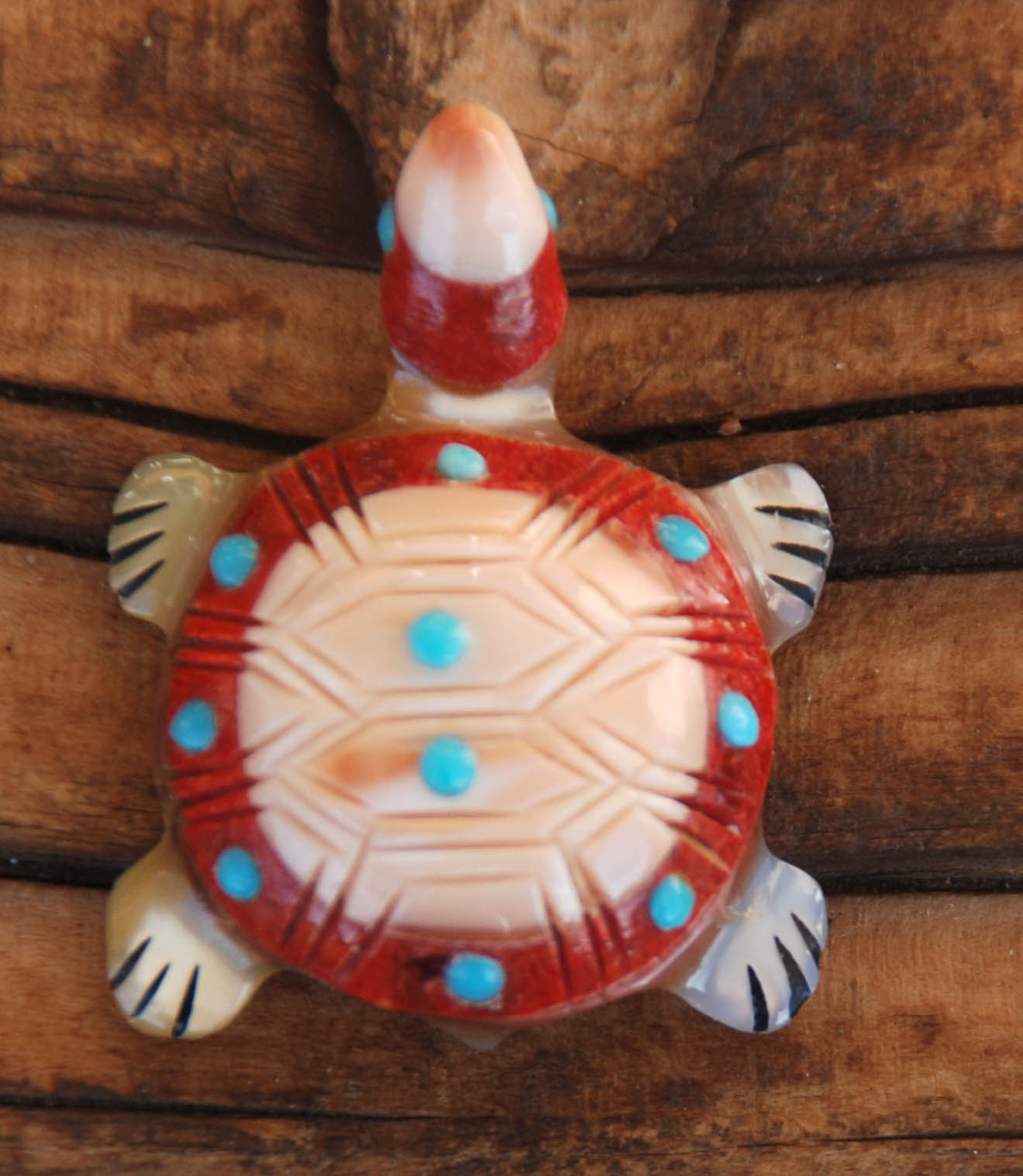 Andrew Quam | Zuni Turtle Fetish | Penfield Gallery of Indian Arts | Albuquerque, New Mexico